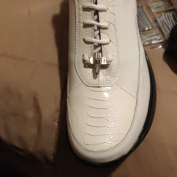 Meet the posher, Isaac - Picture 15 of 16